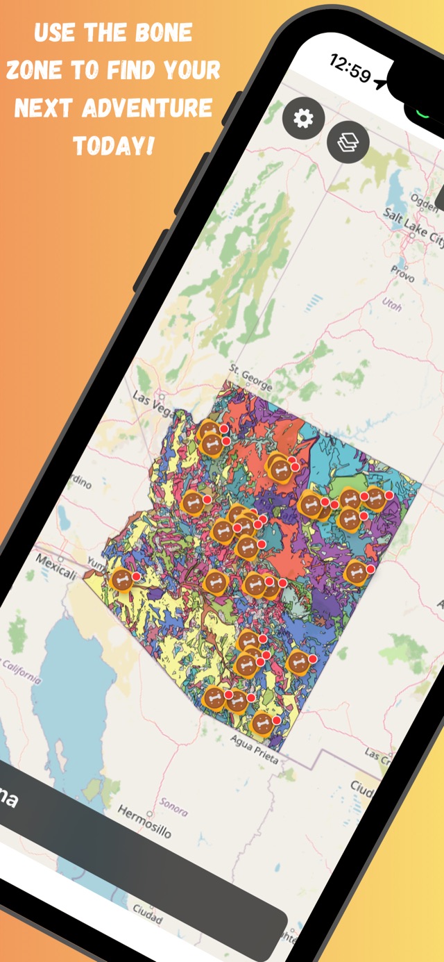 Bone Zone showing Arizona's geologic map covered in fossil pins