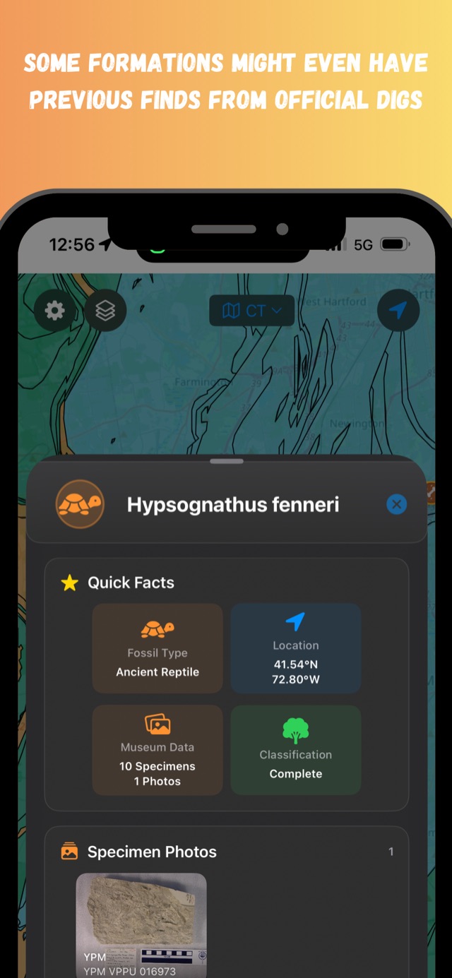 Fossil occurrence detail view